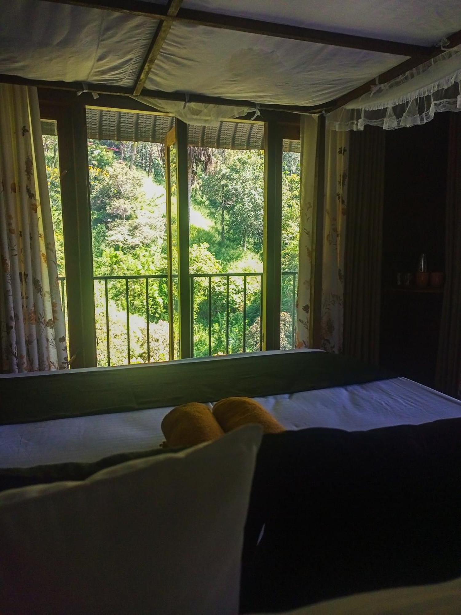 Bed and Breakfast Creek Downhills Елла Екстер'єр фото