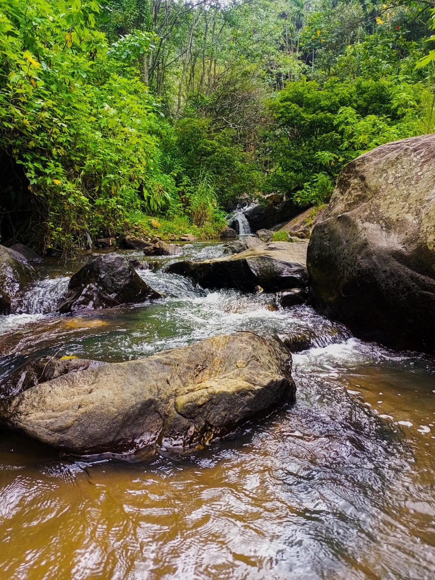 Bed and Breakfast Creek Downhills Елла Екстер'єр фото
